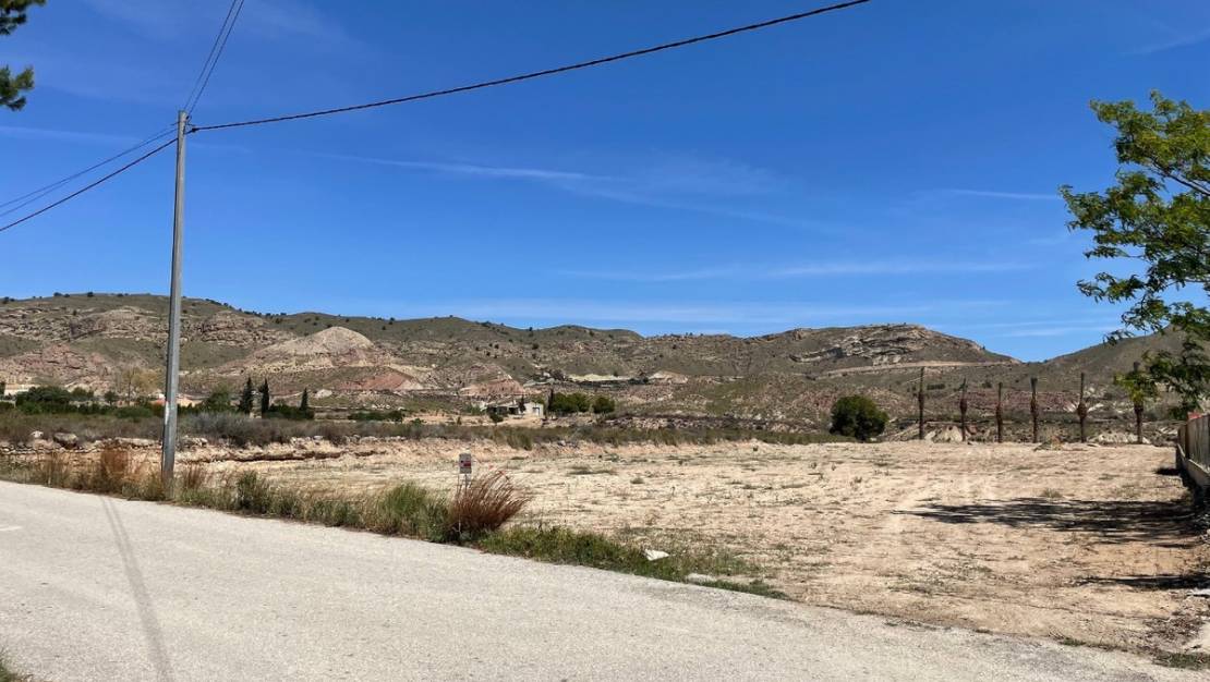 Sale - Land - Abanilla - Abanilla Centro