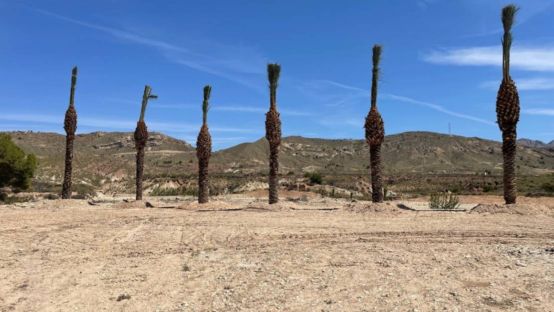 Sale - Land - Abanilla - Abanilla Centro