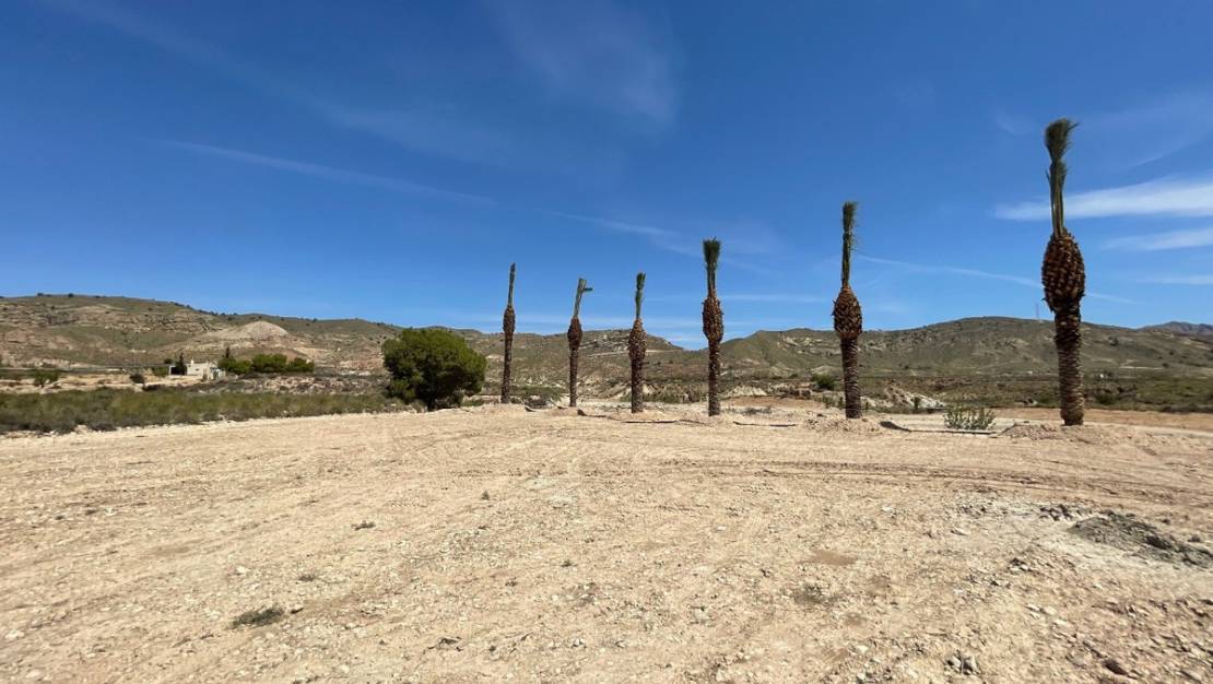 Sale - Land - Abanilla - Abanilla Centro