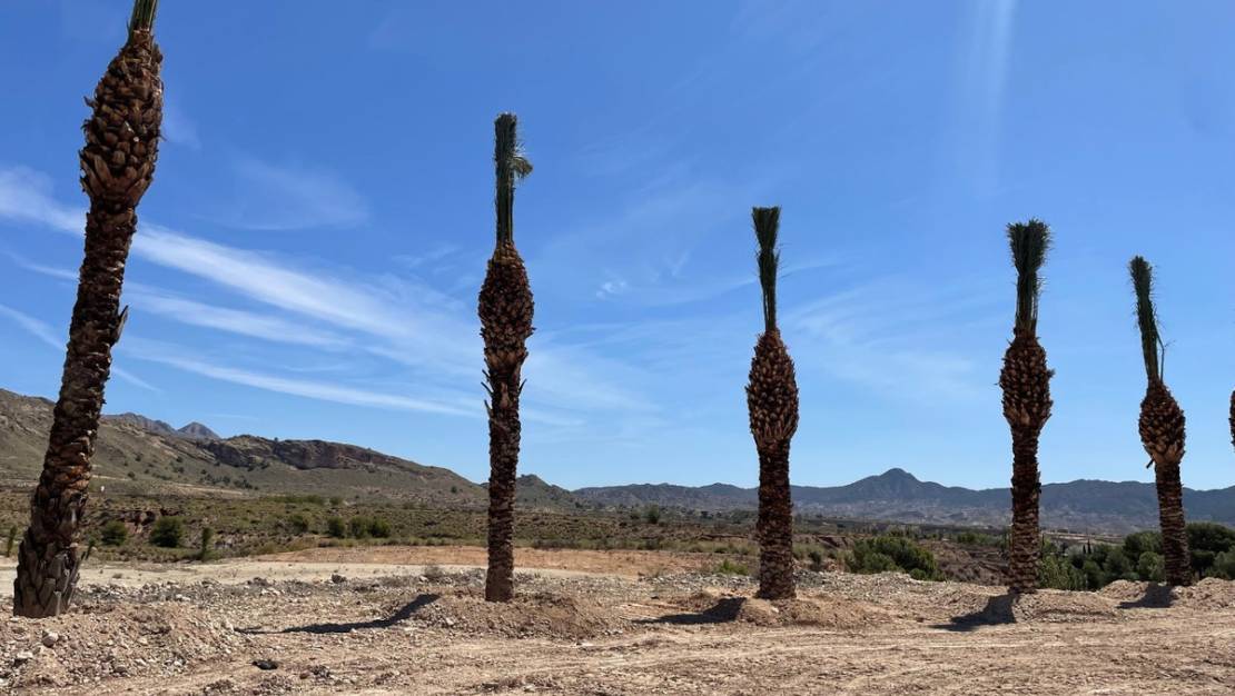 Sale - Land - Abanilla - Abanilla Centro