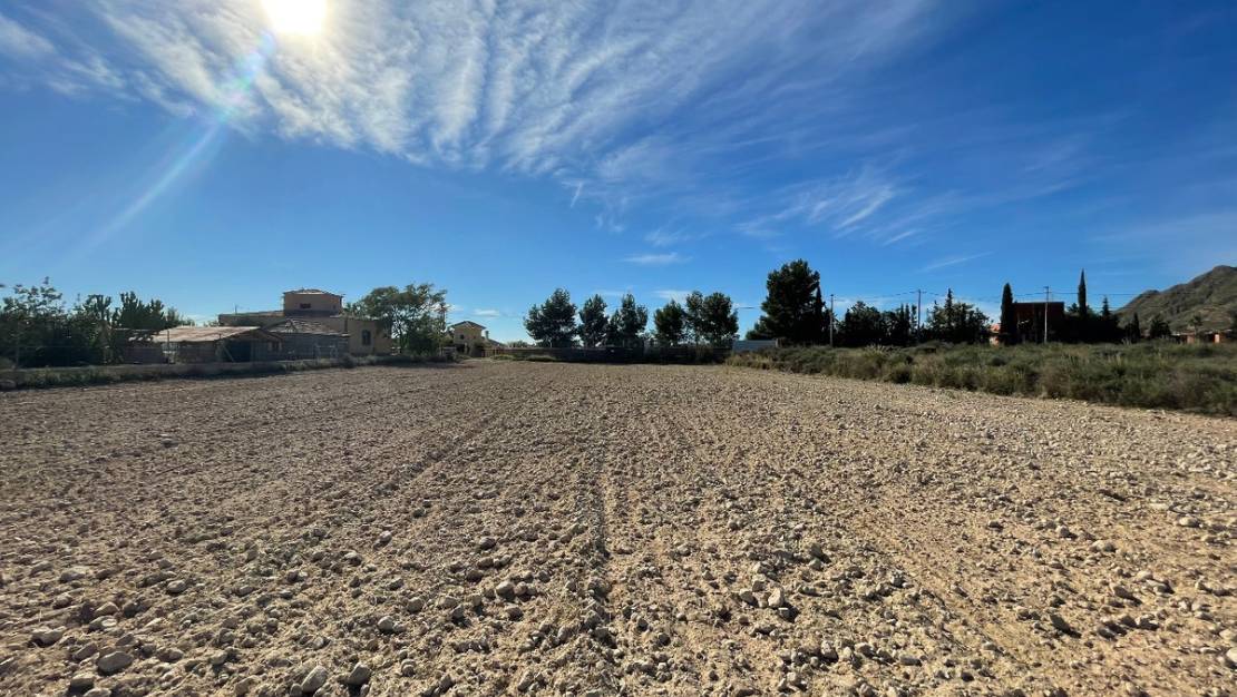 Sale - Land - Abanilla - Abanilla Centro