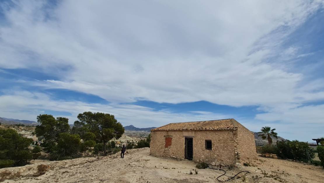 Sale - Land - Abanilla - Abanilla Centro