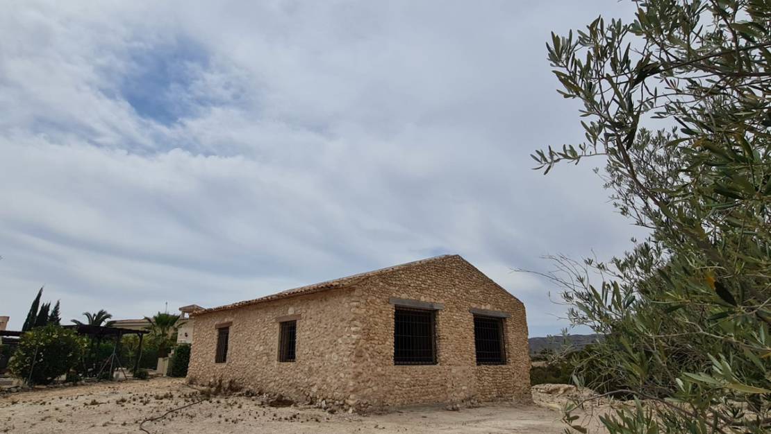 Sale - Land - Abanilla - Abanilla Centro