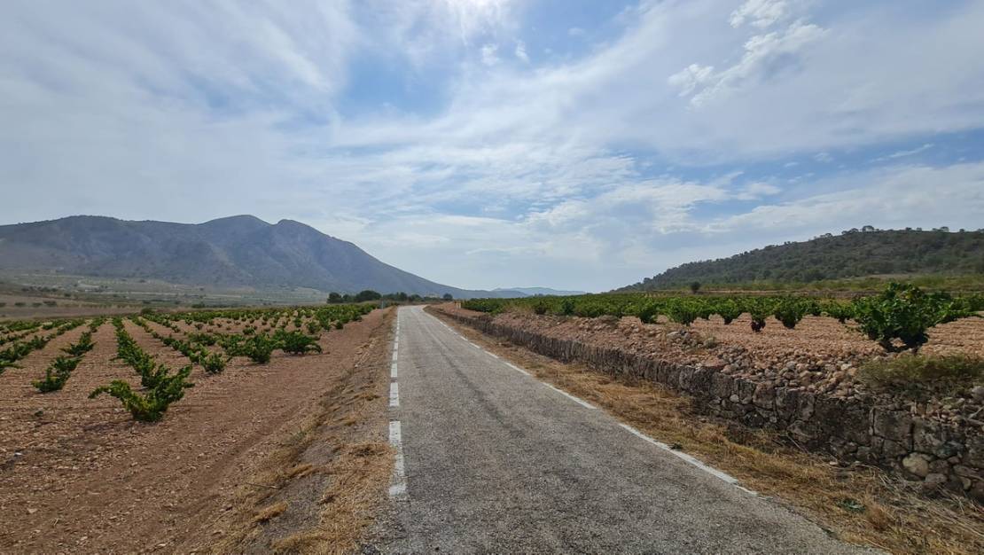 Sale - Land - Abanilla - Abanilla Centro