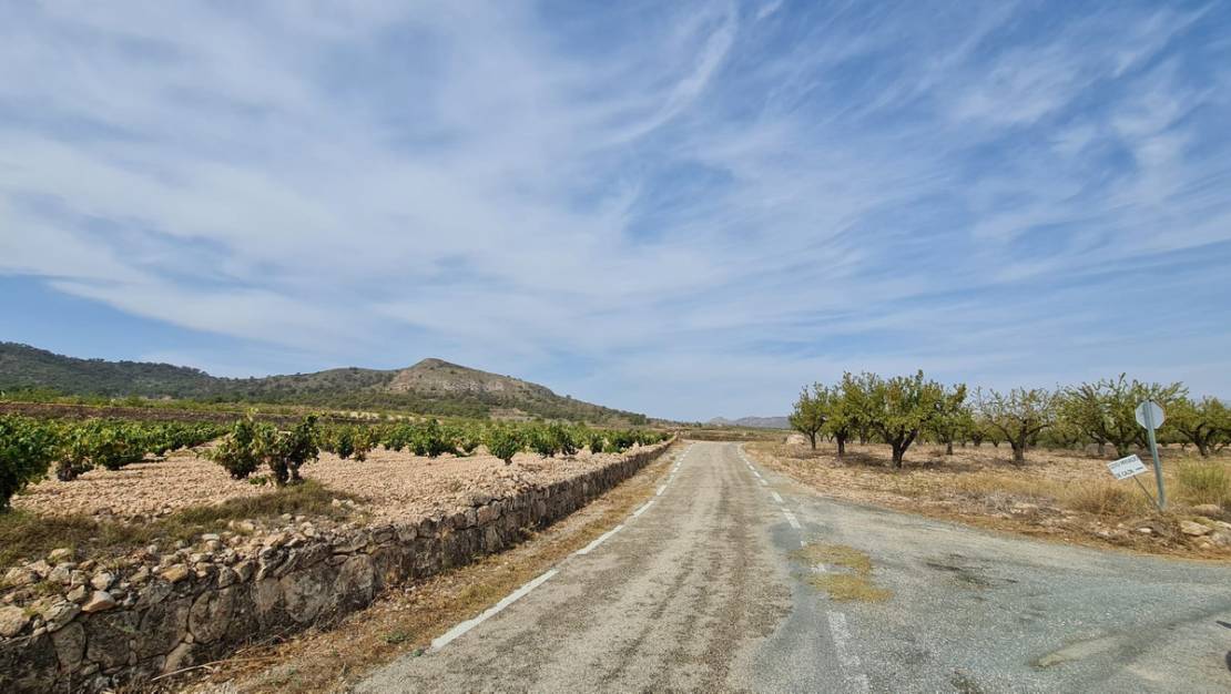 Sale - Land - Abanilla - Abanilla Centro