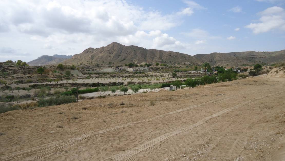 Sale - Land - Abanilla - Abanilla Centro