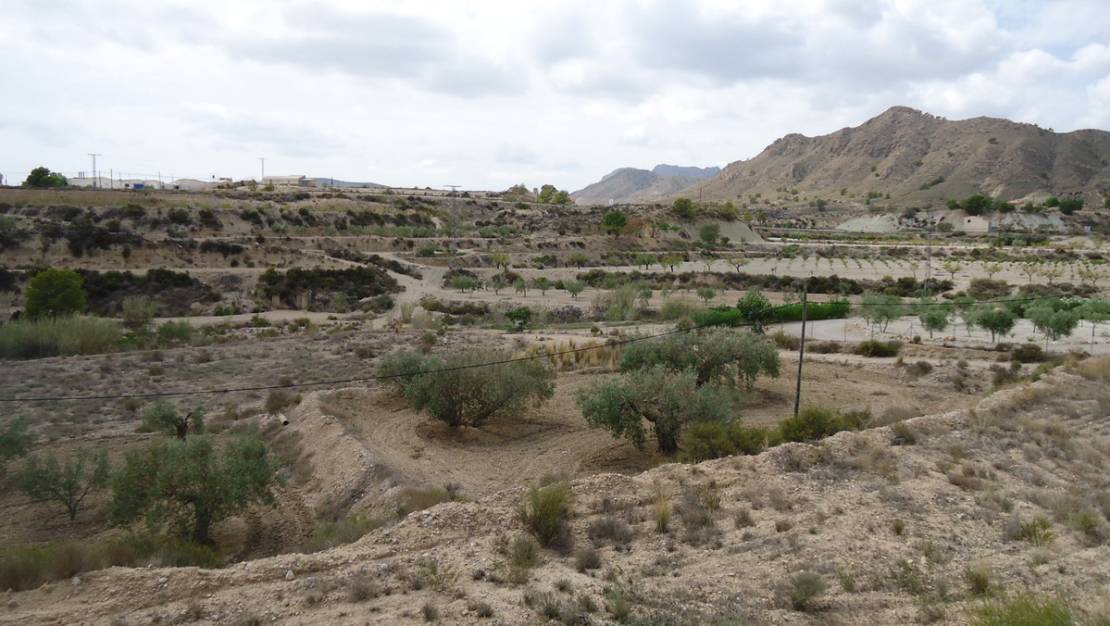 Sale - Land - Abanilla - Abanilla Centro