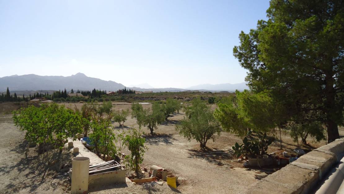 Sale - Land - Abanilla - Abanilla Centro