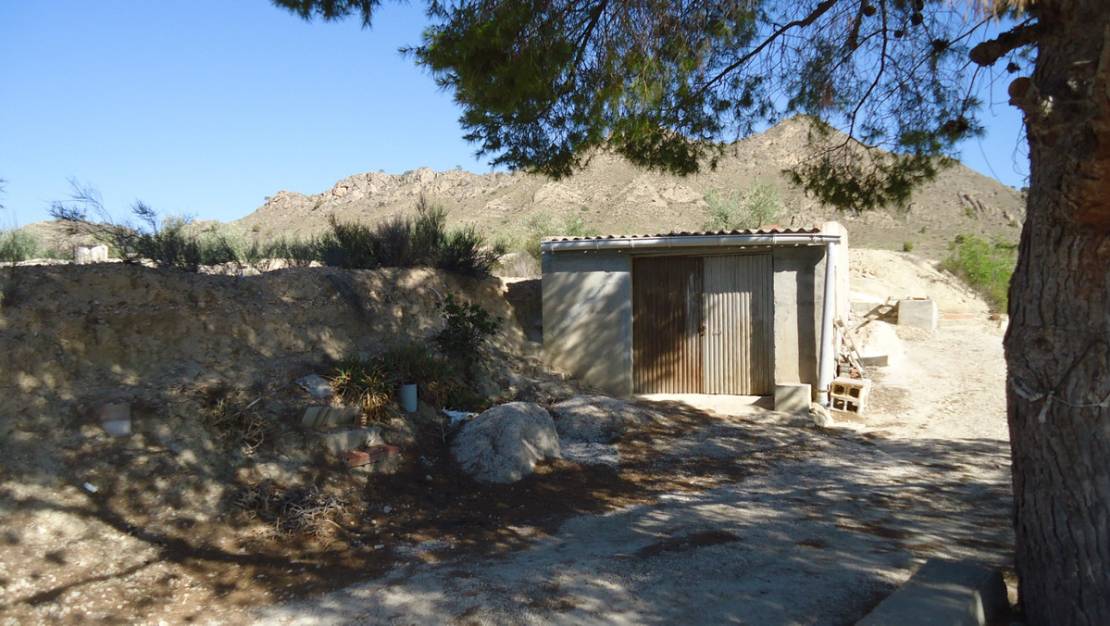 Sale - Land - Abanilla - Abanilla Centro