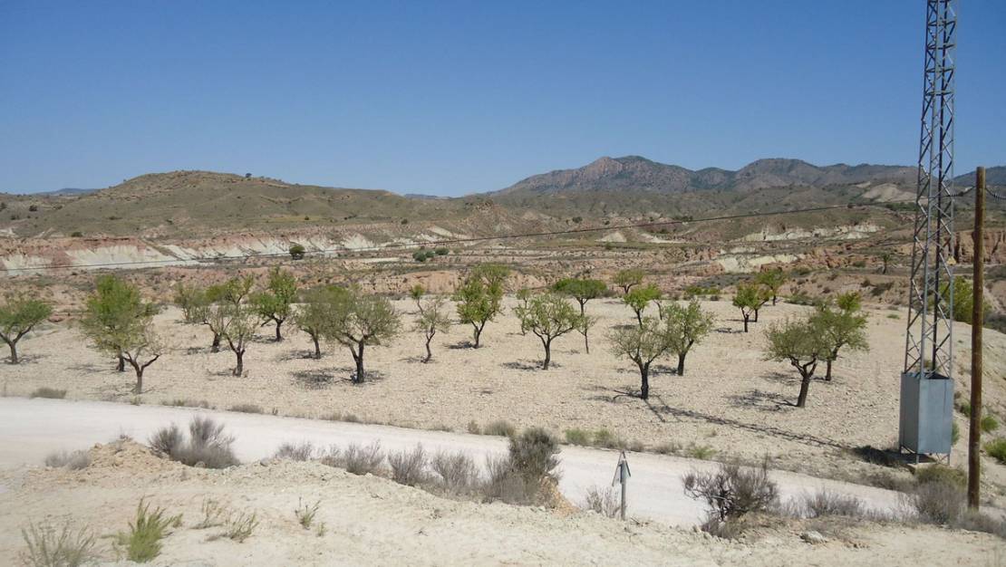 Sale - Land - Abanilla - Abanilla Centro