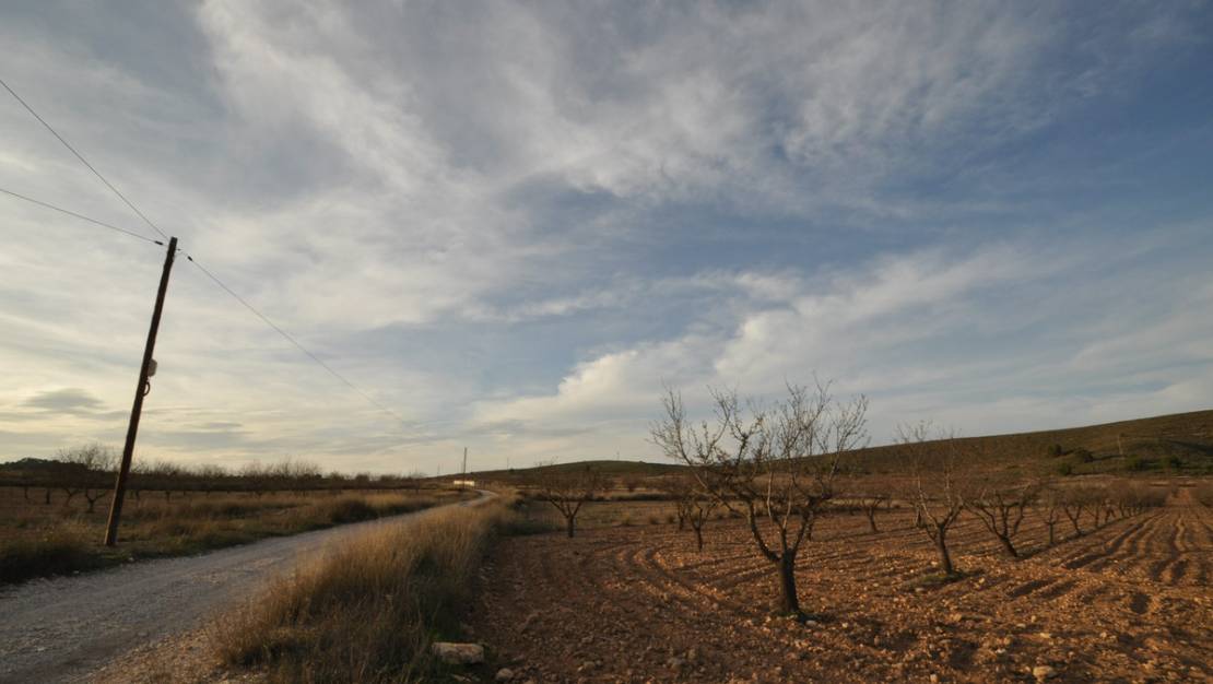 Sale - Land - Abanilla - Abanilla Centro