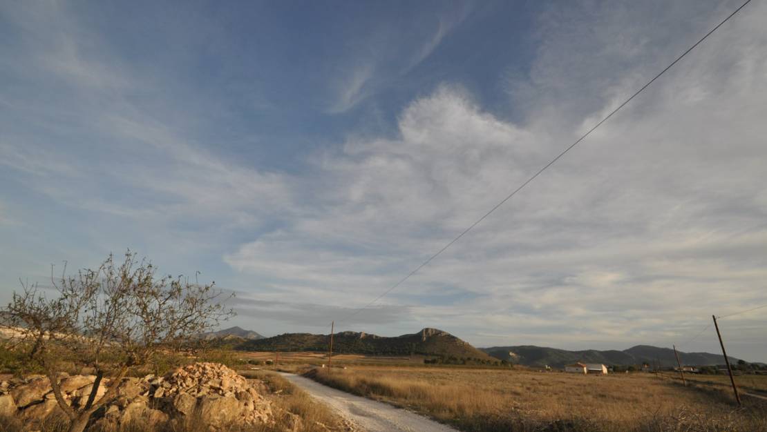 Sale - Land - Abanilla - Abanilla Centro