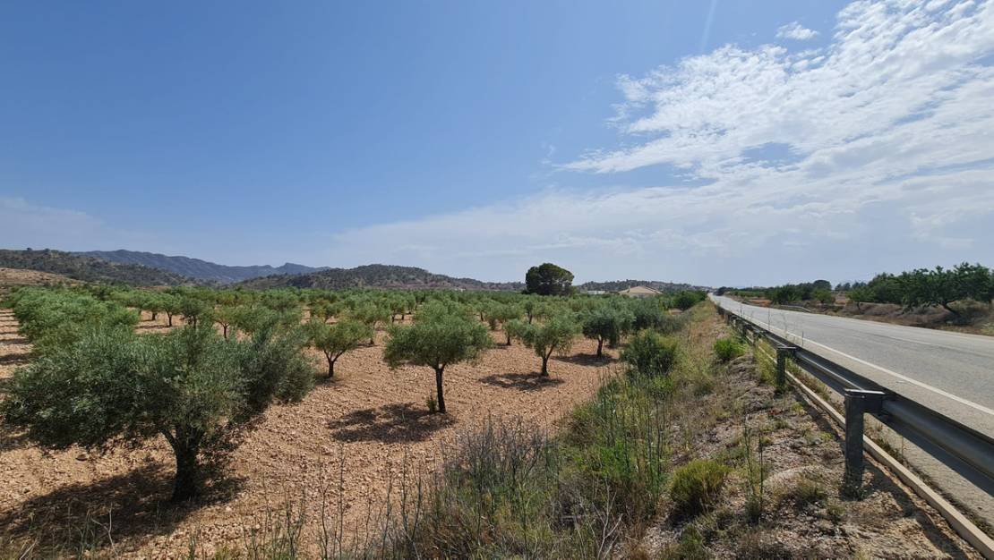 Sale - Land - Abanilla - Abanilla Centro