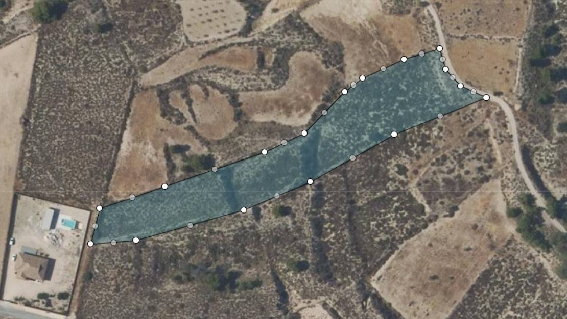 Sale - Land - Abanilla - Abanilla Centro