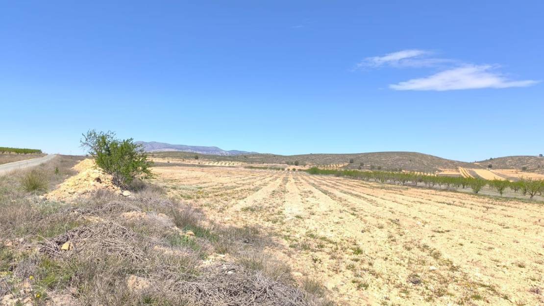 Sale - Land - Abanilla - Canada De La Lena