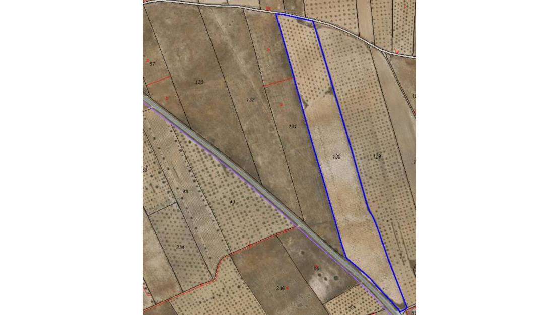 Sale - Land - Abanilla - Canada De La Lena
