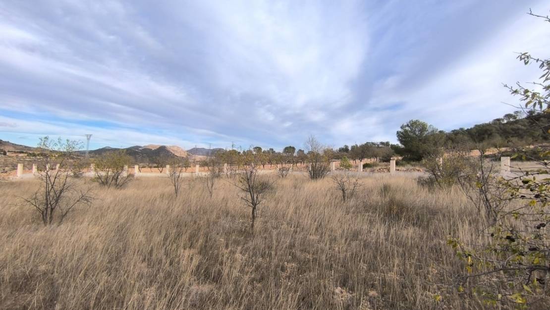 Sale - Land - Abanilla - Canada De La Lena