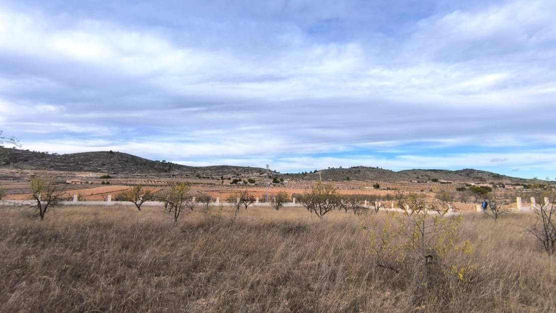 Sale - Land - Abanilla - Canada De La Lena