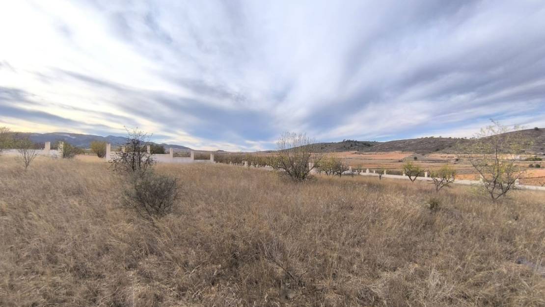 Sale - Land - Abanilla - Canada De La Lena