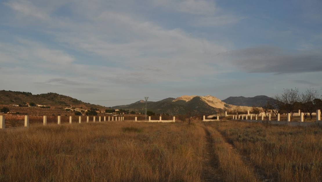 Sale - Land - Abanilla - Canada De La Lena