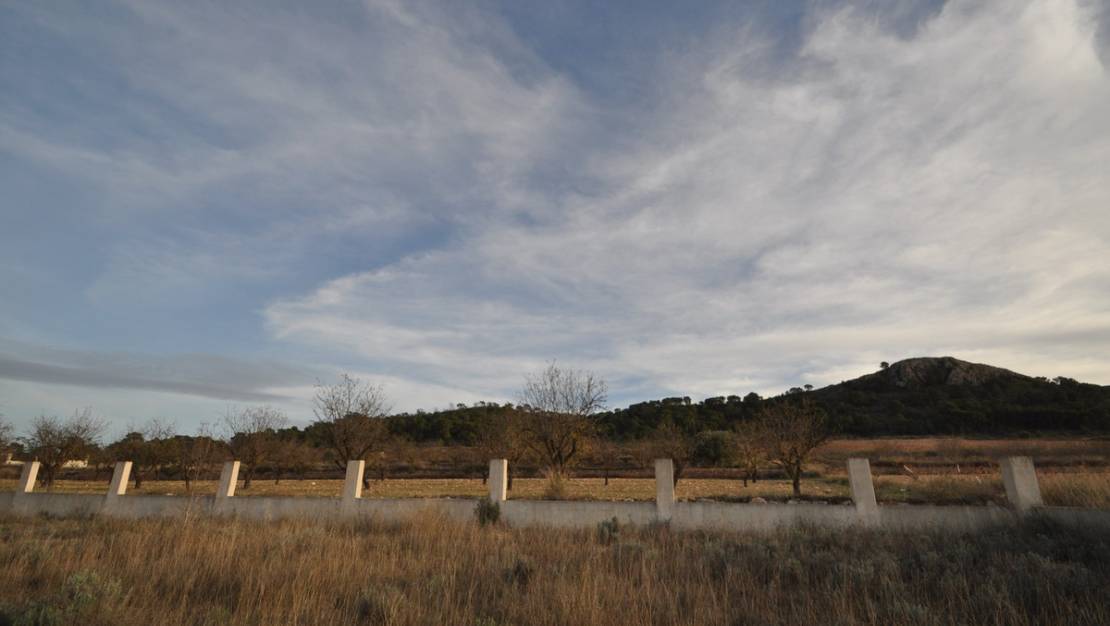 Sale - Land - Abanilla - Canada De La Lena