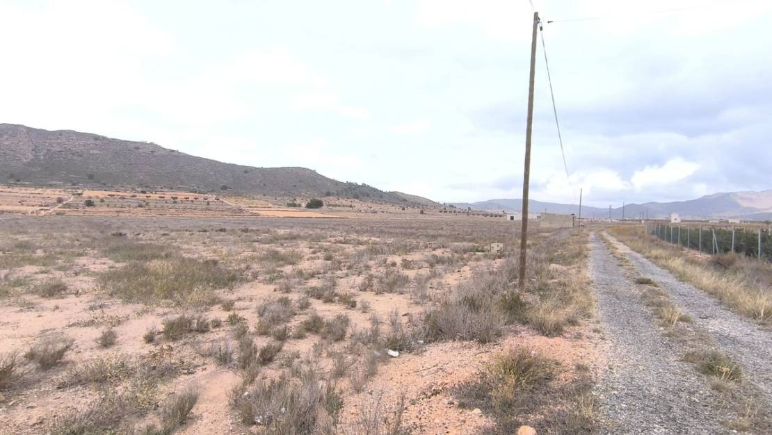 Sale - Land - Abanilla - Canada De La Lena