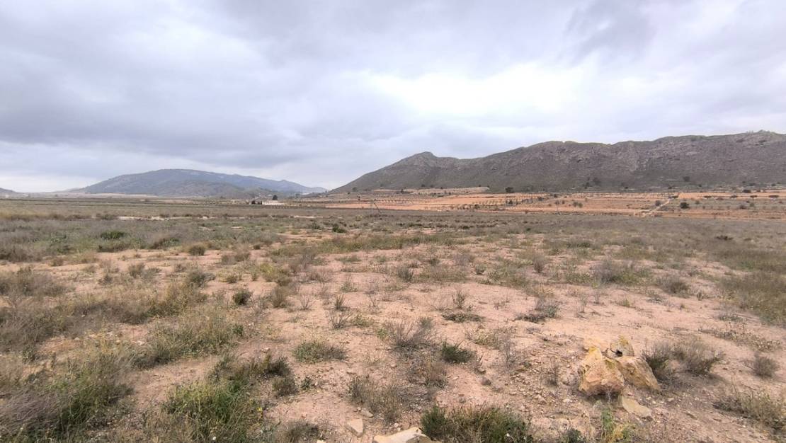 Sale - Land - Abanilla - Canada De La Lena