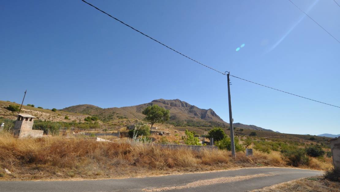 Sale - Land - Abanilla - Macisvenda