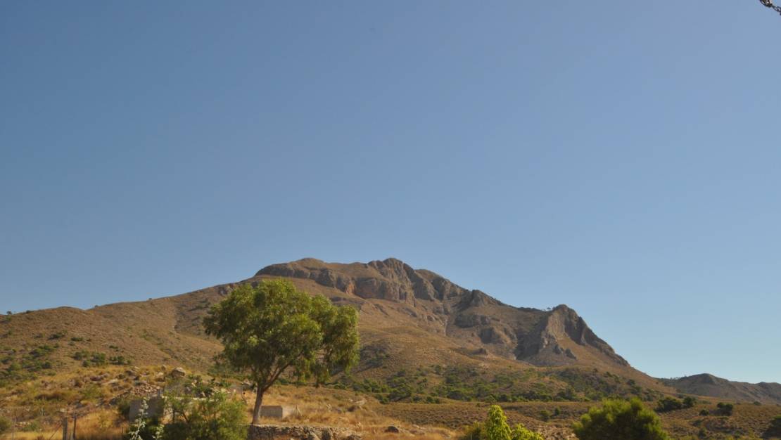 Sale - Land - Abanilla - Macisvenda