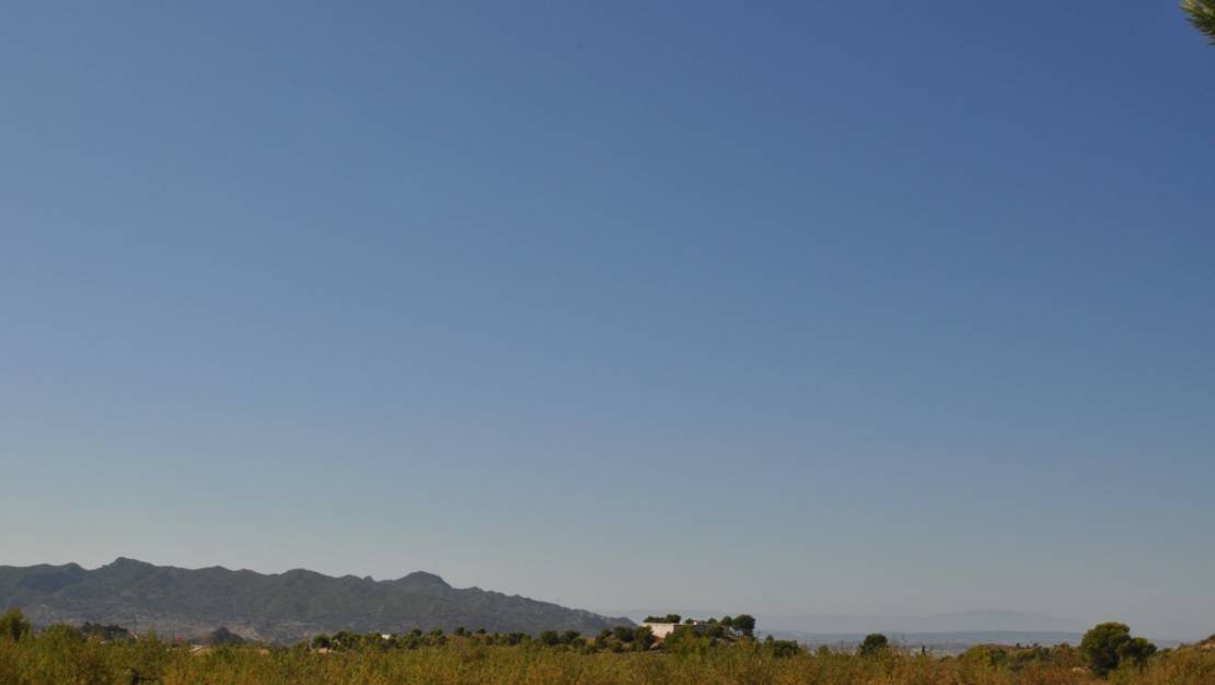 Sale - Land - Abanilla - Macisvenda