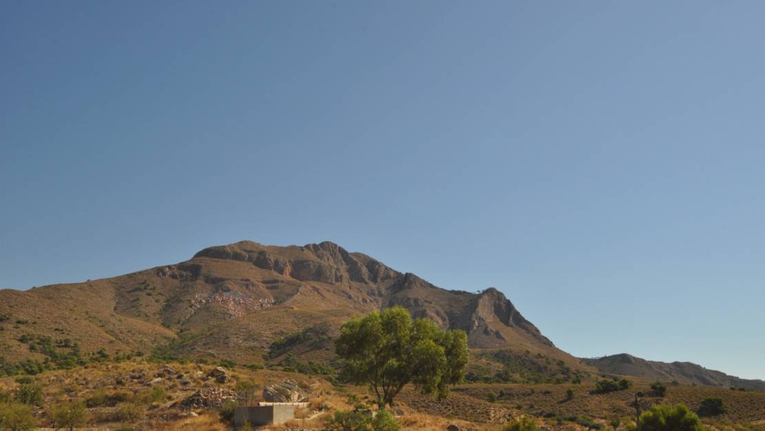 Sale - Land - Abanilla - Macisvenda