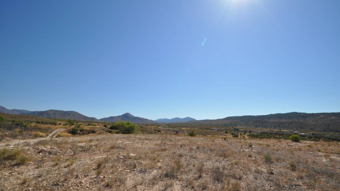 Sale - Land - Abanilla - Macisvenda