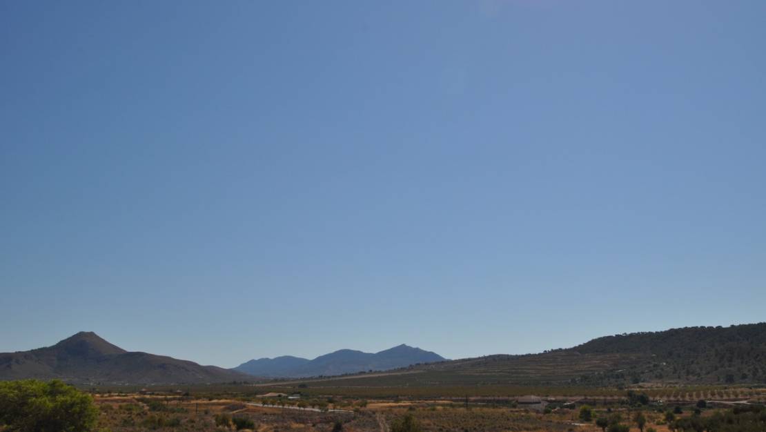 Sale - Land - Abanilla - Macisvenda