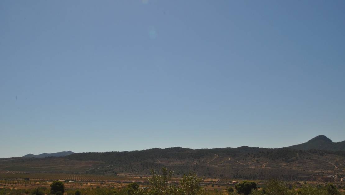 Sale - Land - Abanilla - Macisvenda