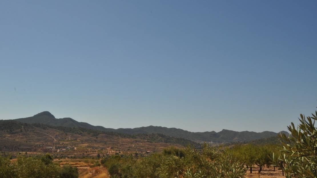 Sale - Land - Abanilla - Macisvenda