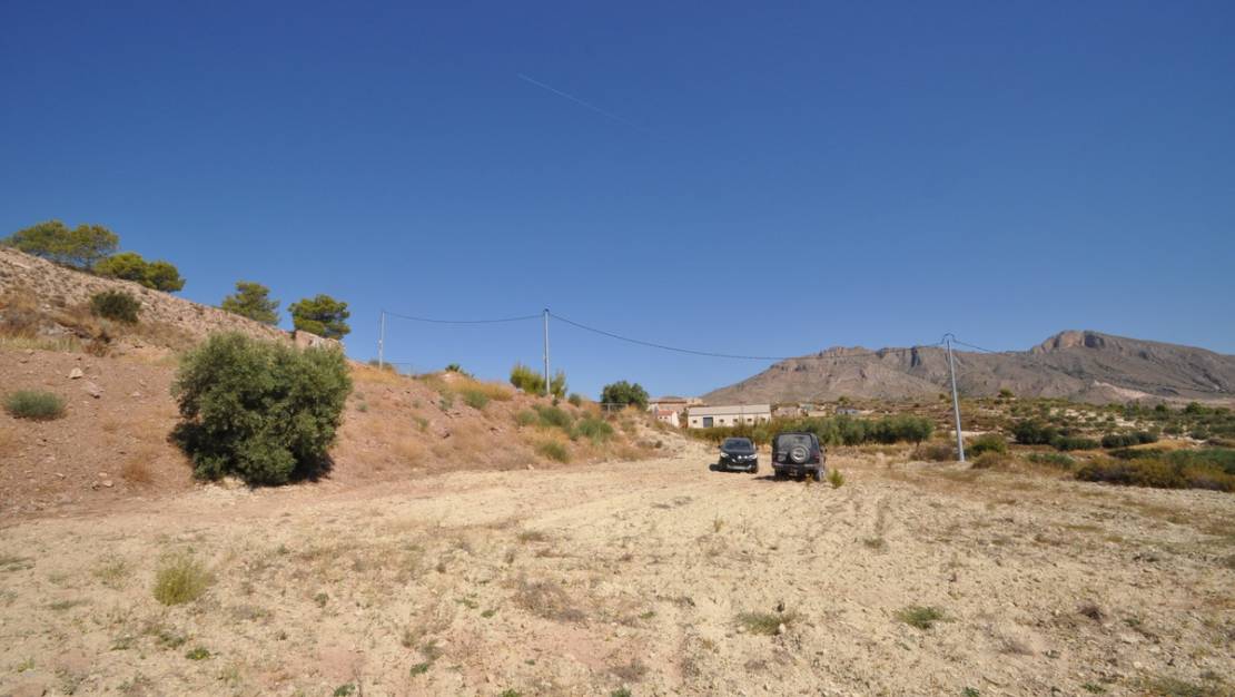 Sale - Land - Abanilla - Macisvenda