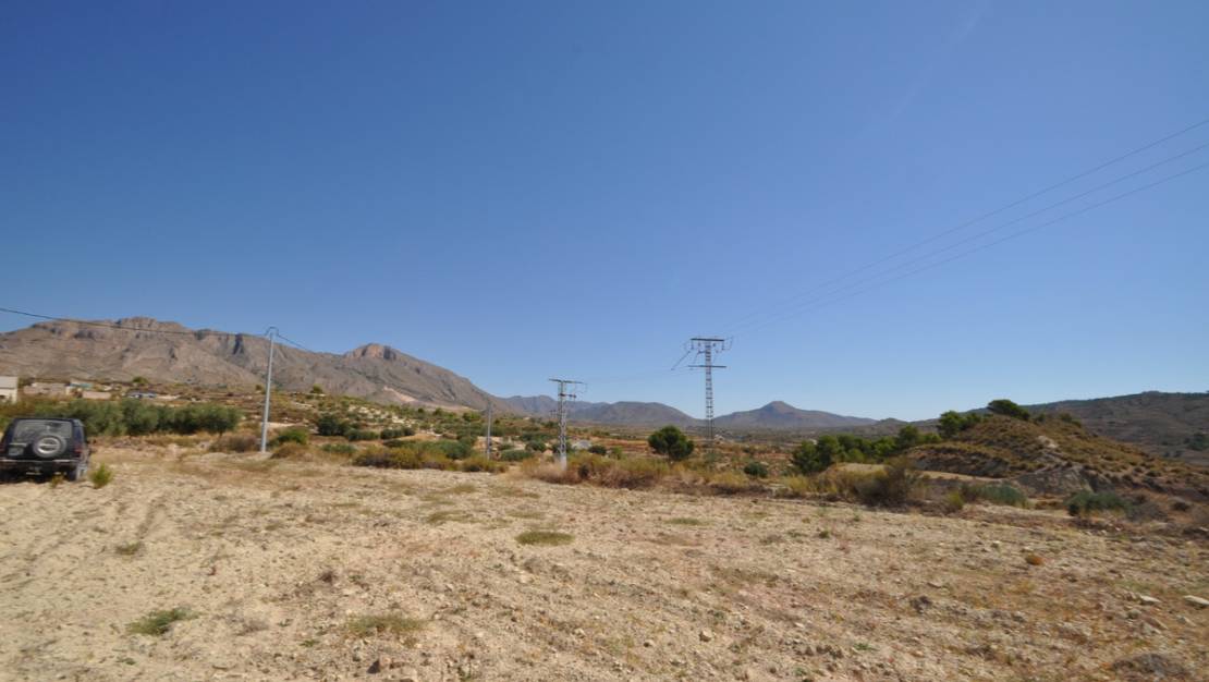 Sale - Land - Abanilla - Macisvenda