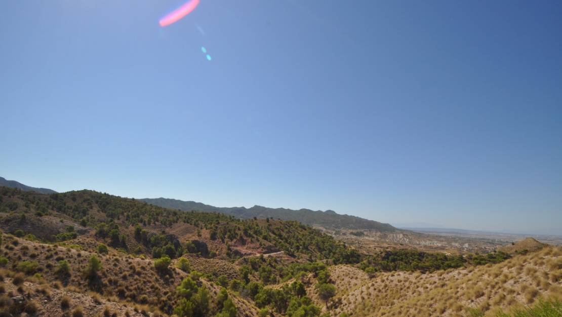 Sale - Land - Abanilla - Macisvenda