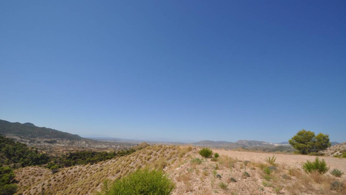 Sale - Land - Abanilla - Macisvenda