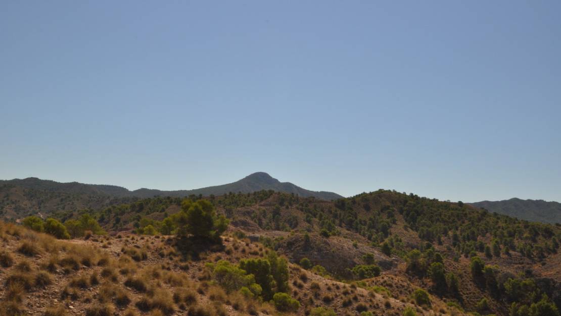 Sale - Land - Abanilla - Macisvenda