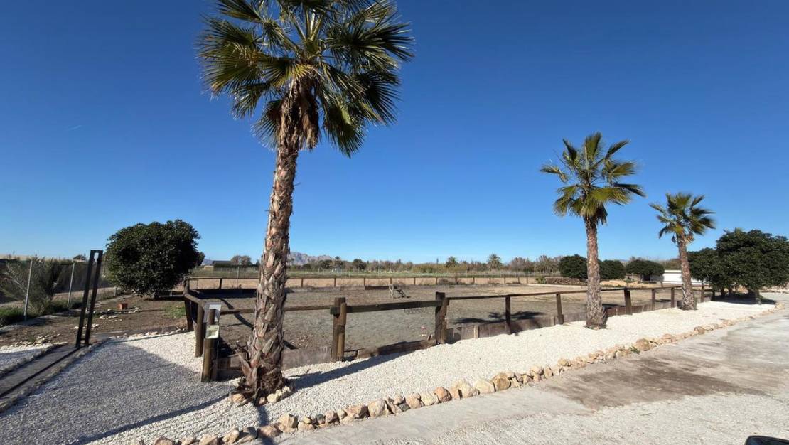 Sale - Land - Algorfa - Algorfa Centro