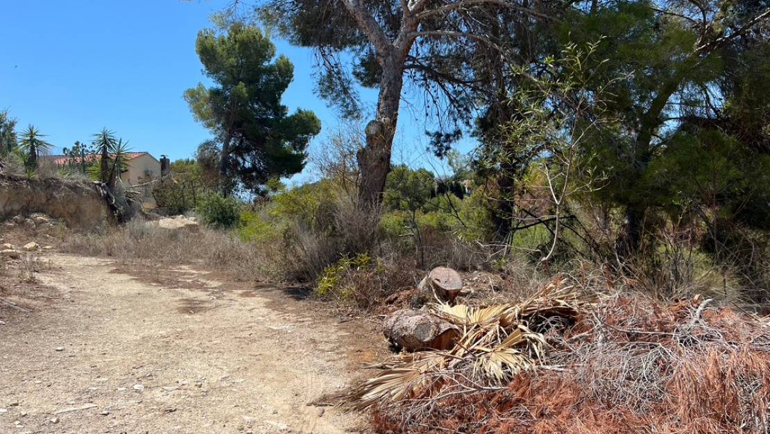 Sale - Land - Algorfa - Montemar