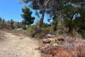 Sale - Land - Algorfa - Montemar