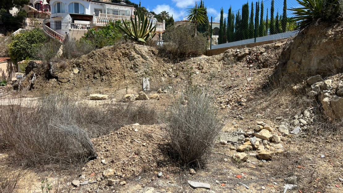 Sale - Land - Algorfa - Montemar