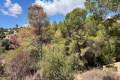Sale - Land - Algorfa - Montemar