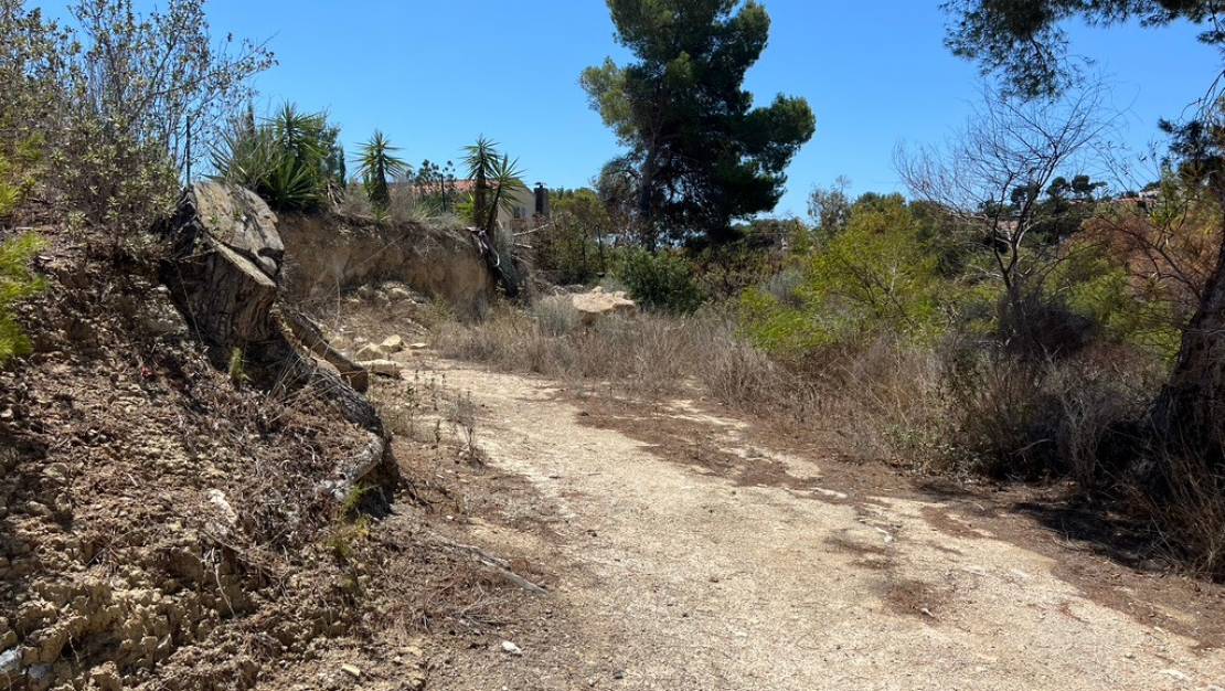 Sale - Land - Algorfa - Montemar