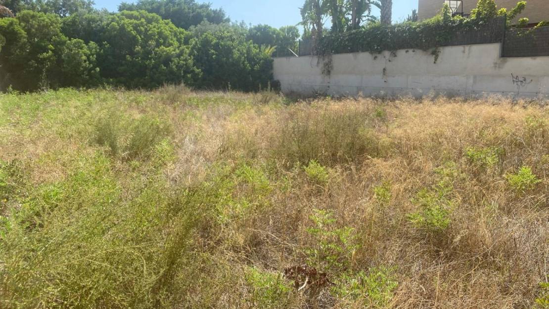 Sale - Land - Alicante - Alicante Centro