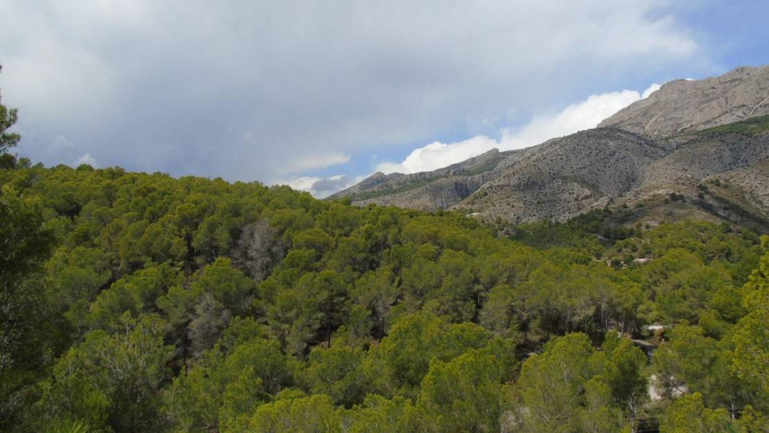 Sale - Land - Altea - Altea Centro