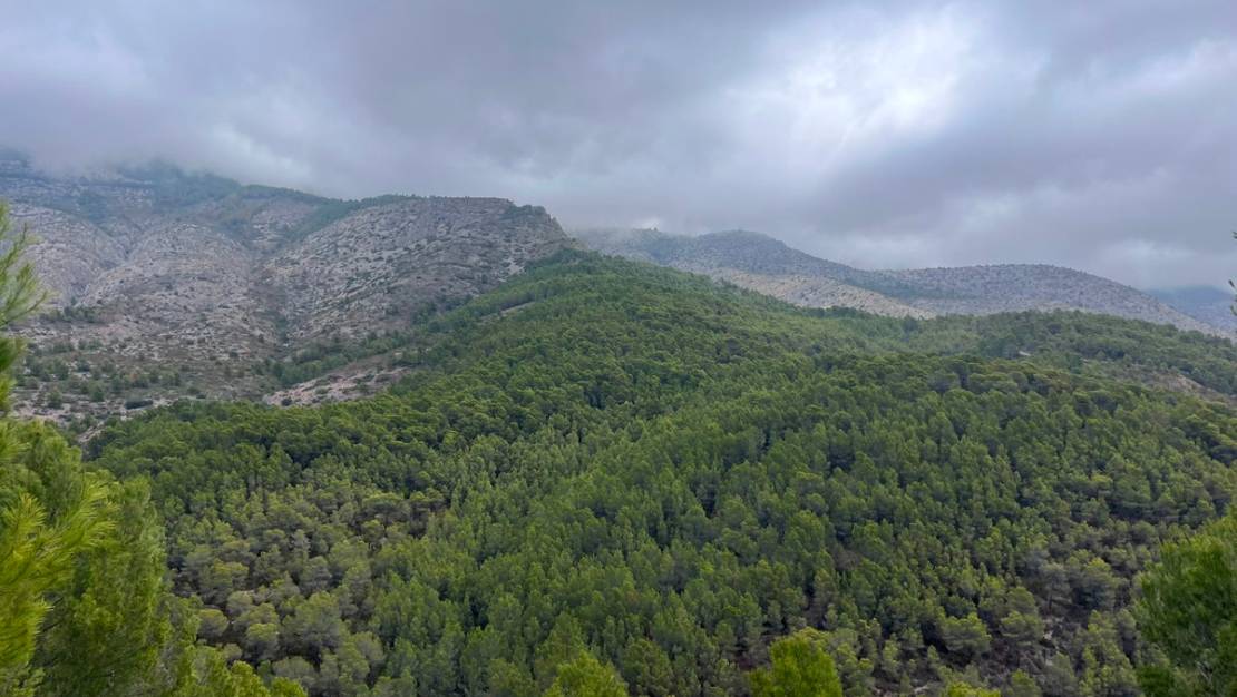 Sale - Land - Altea - Altea Centro