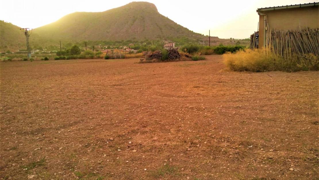 Sale - Land - Aspe - Aspe Centro